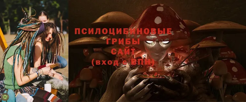 Галлюциногенные грибы Cubensis Саратов